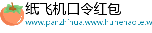 纸飞机口令红包